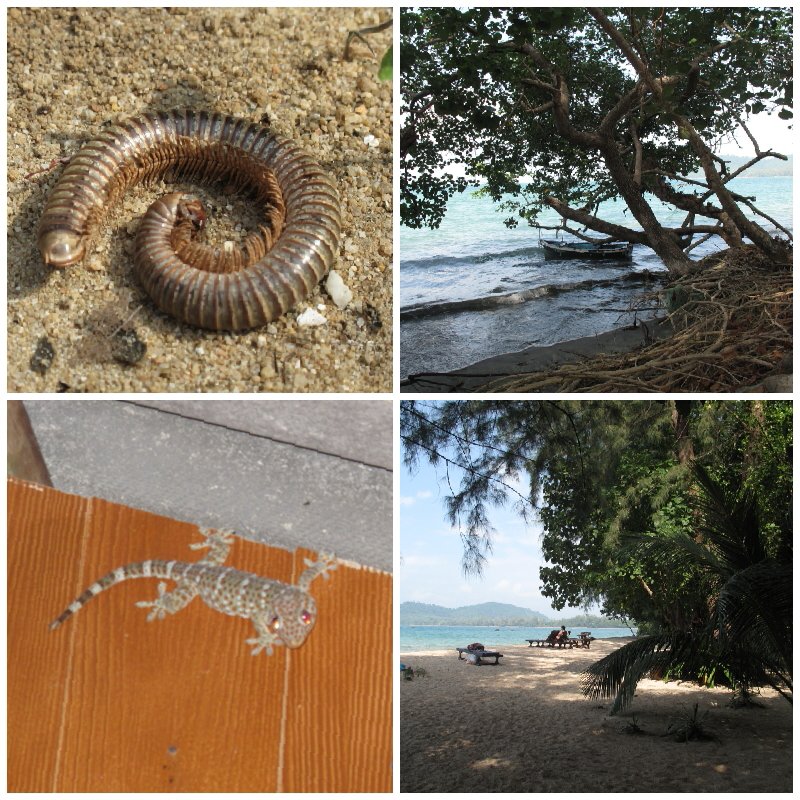 18dc8da0-54d5-4537-8ce8-b65da4be8893.jpg image