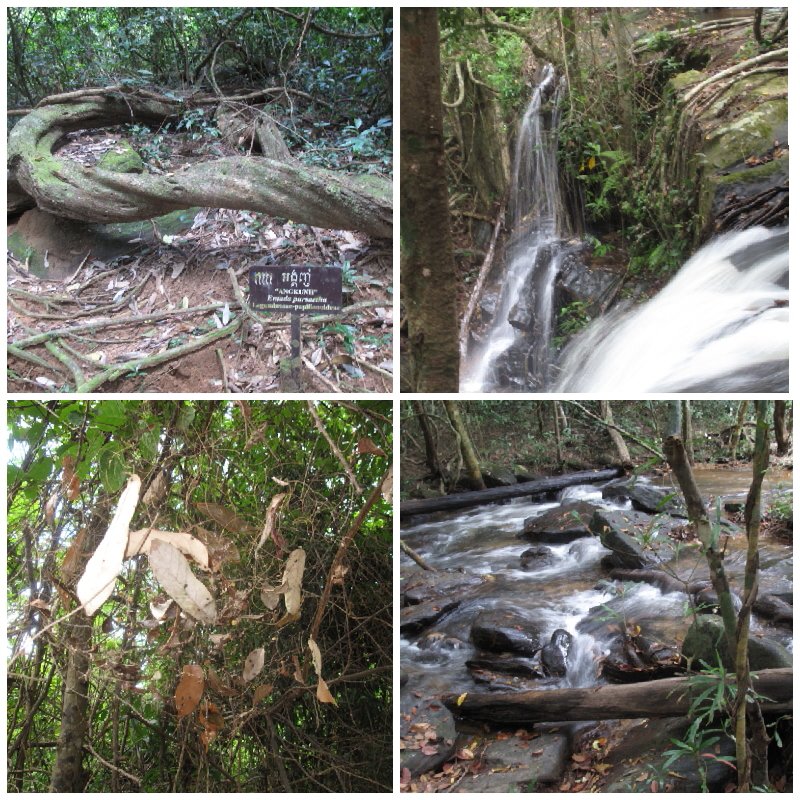 32857900-d531-49df-9349-0f4ec7c4d294.jpg image