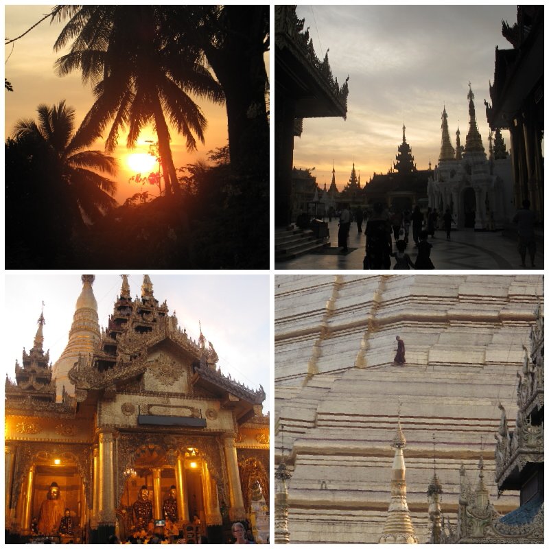 394d01d9-ce42-46a2-a91a-d4f7a292395f.jpg image