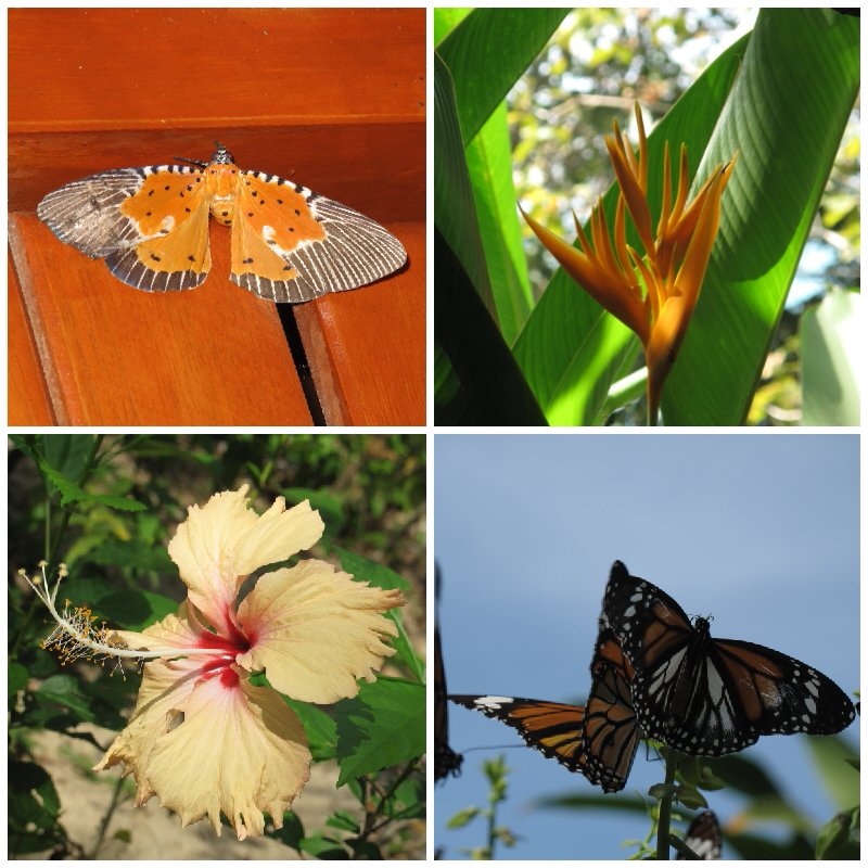 3be8ac03-7921-47c8-b75a-40edbc43a809.jpg image