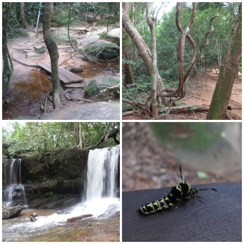 4178cb00-ca9a-4208-8499-dc8bf5891059.jpg image