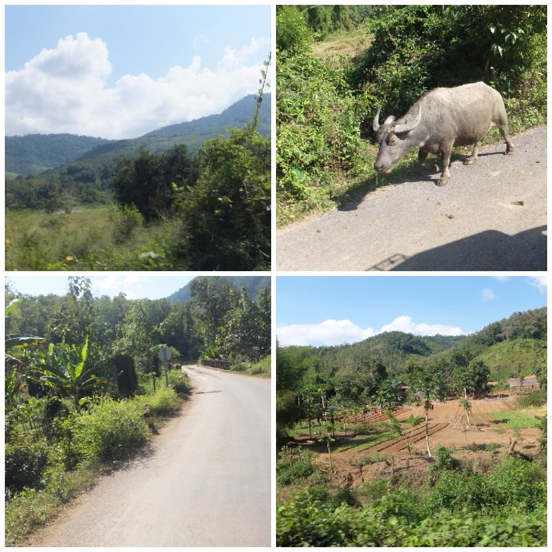 43cefa55-e776-42c9-aa6b-e2b34d2af9e7.jpg image