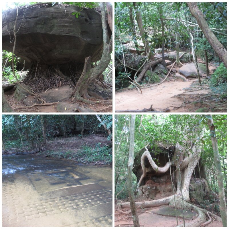 5904ffeb-36b4-4683-a97d-884fd2afc887.jpg image