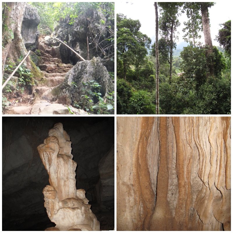 5b1dbbb8-b2fa-4321-a2fe-156a634e584e.jpg image