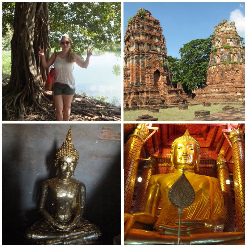 8740adc5-58fa-425d-972b-6daeb40639ca.jpg image