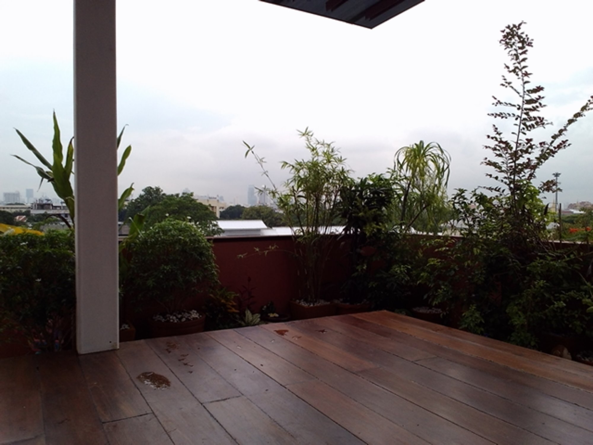 P_20131017_114741.jpg image