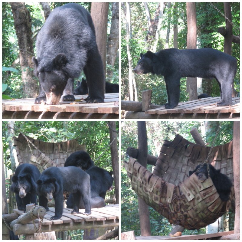 a28a9a3d-ef18-4fed-b235-356c8c12949f.jpg image