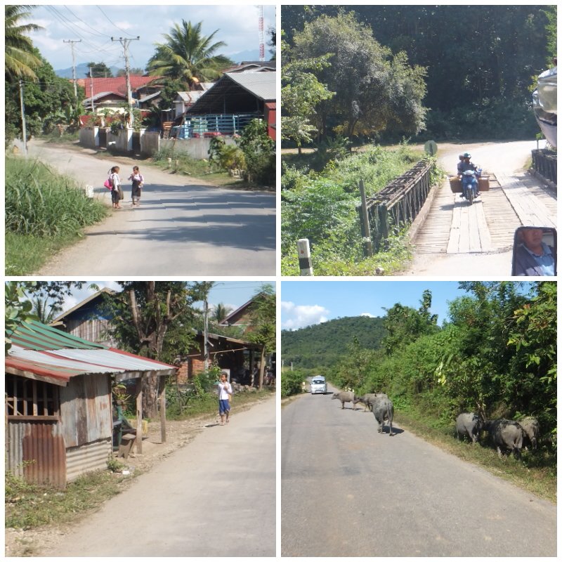 c061de56-b8db-4bb6-a773-0fac5d36b539.jpg image